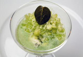 Ostrica in centrifugato di mela verde e cetriolo, con foglia di cappero e frutto della passione Ostrica in centrifugato di mela verde e cetriolo, con foglia di cappero e frutto della passione, preparata e fotografata da Giorgio Giorgetti, personal chef Varese Como Milano Lombardia, su Cucino di te.