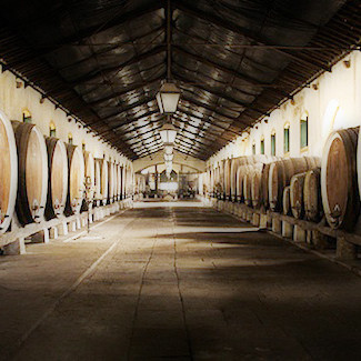 Corsi di vino e degustazioni provincia di Varese, Como, Canton Ticino. Botti nella cantina sociale di Colares, in Portogallo, fotografate da Giorgio Giorgetti, personal chef, sommelier e giornalista a Varese (www.cucinodite.it).