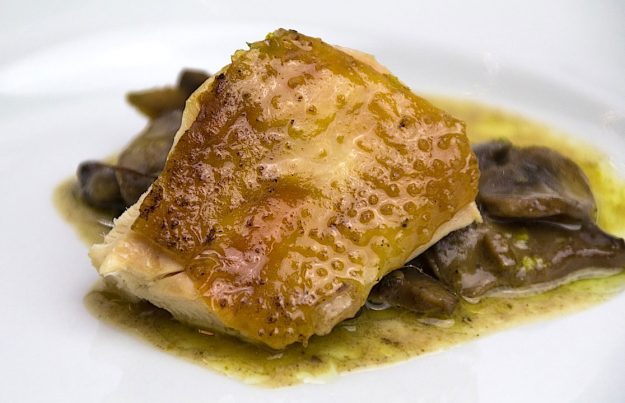 Gallina slow cooker 12 ore con funghi alla panna. Scuola di cucina provincia di Varese, Como, Monza e Brianza, Canton Ticino, Svizzera.