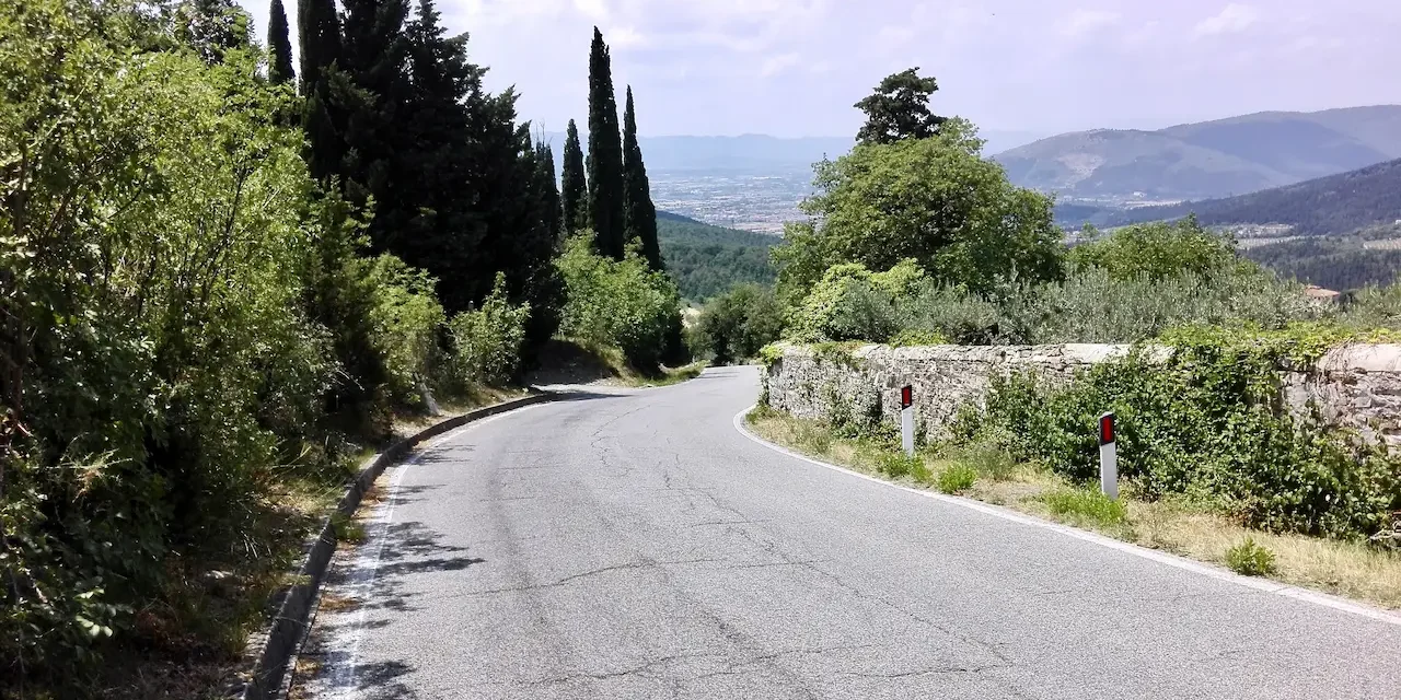 Salita del Castellare a Sesto Fiorentino tra gli ulivi: la strada dell'olio di Morello, ingrediente firma della cucina di Cucino di Te, chef a domicilio tra Varese e Canton Ticino.