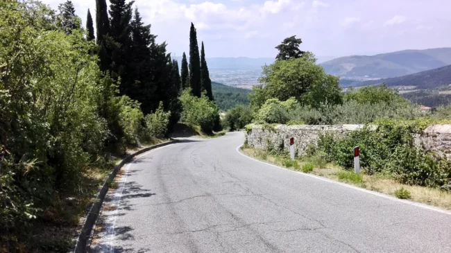 Salita del Castellare a Sesto Fiorentino tra gli ulivi: la strada dell'olio di Morello, ingrediente firma della cucina di Cucino di Te, chef a domicilio tra Varese e Canton Ticino.